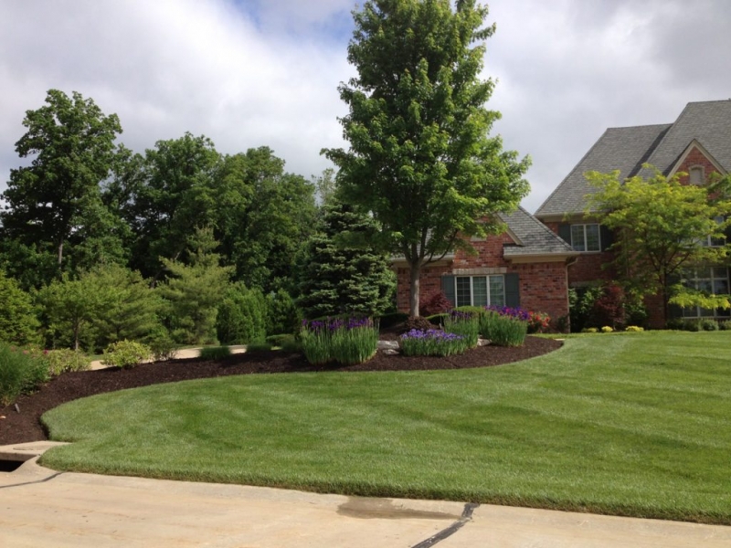 Fall Lawn Maintenance - Poynter Landscape