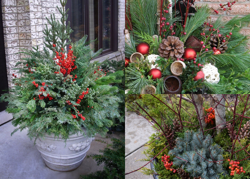 Order Your Winter Containers Today! - Poynter Landscape Architecture ...
